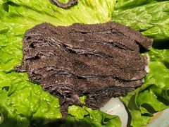 -老墙根涮肉(王四营店)