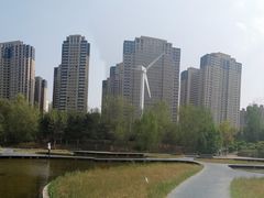 -长白岛森林公园