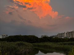 -苏州东太湖生态园