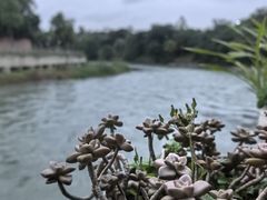 -生宇山珍野生菌汤锅•始于2002(双流古塔店)