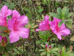 -广东外语外贸大学(白云山校区)