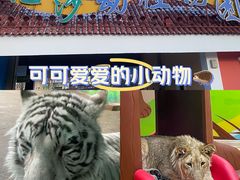 -齐齐哈尔龙沙动植物园