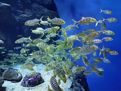 -成都浩海立方海洋公园