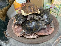 -海天堂(玉带濠店)