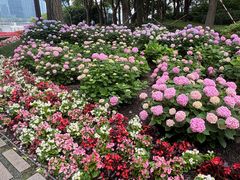 -北外滩滨江绿地