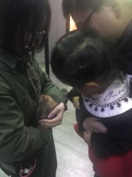 -未来动物城主题公园(正弘城店)