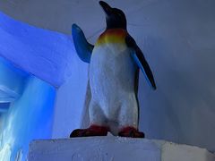 -合肥海洋世界