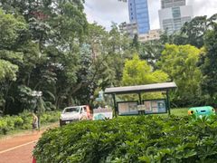 -九龙公园