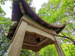 -紫金山山顶公园