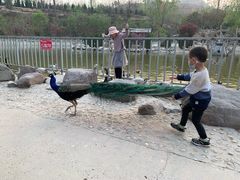 -五龙山野生动物王国