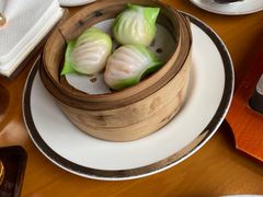 -广州富力君悦大酒店空中花园