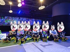 -VS SPORTS PARK运动玩乐园·团建·生日会(合生汇店)