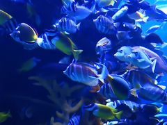 -多彩贵州城极地海洋世界