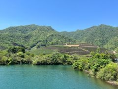-龙坞茶村