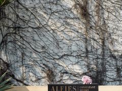 -villaa·别墅·融合菜西餐厅