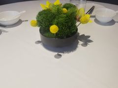 -杏花堂(北大街店)