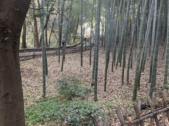 -杭州黄龙洞