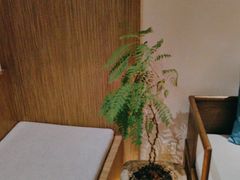 -翁暖茶馆(滨江东总店)