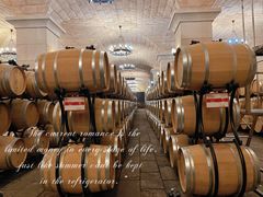 -北京张裕爱斐堡酒庄