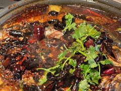-师烤·豆花烤鱼(广州荔湾扬韬广场店)