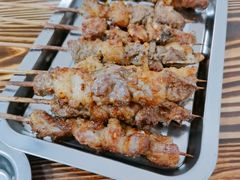-民族烤羊·烤羊肉串·烤羊排(南城店)