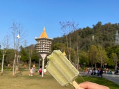 -顺峰山公园
