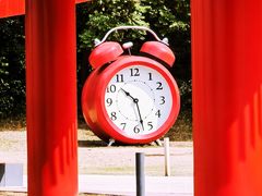 -光明刘冰乳鸽店(光明法政北路店)