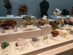 -湖南省地质博物馆