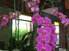 -Dash Teak House