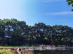 -广州长隆飞鸟乐园
