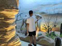 -西霞口神雕山野生动物世界