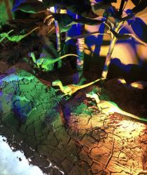 -恐龙探索乐园(磁器口店)