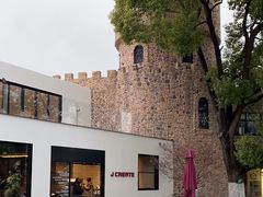 -J Create城市露营咖啡·简餐·宠物(上海动物园店)