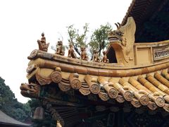 -普陀山风景名胜区-法雨禅寺