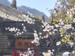 -潭柘寺景区