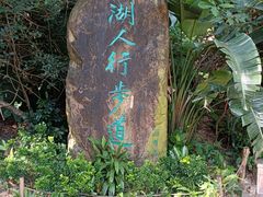 -深圳仙湖植物园