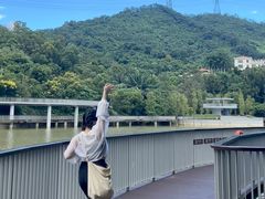 -银湖山郊野公园-相思林