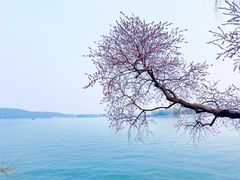 -颐和园