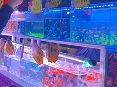 -中环花鸟鱼虫市场