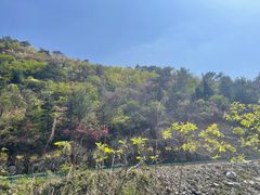 -木兰云雾山