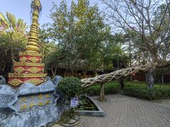 -瑞丽独树成林风景区