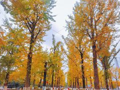 -两江幸福广场