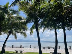 -深圳湾公园(南山区)