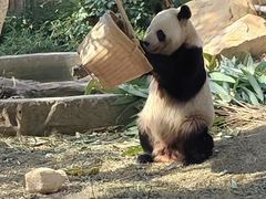-常州淹城野生动物世界