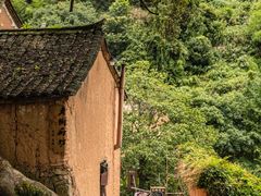 -杨家堂村