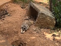 -昆明动物园