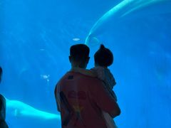 -海合安成都极地海洋公园