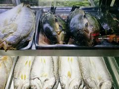 -布尔津河堤夜市