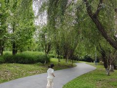 -两河城市森林公园