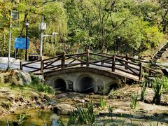 -白水寺森林公园